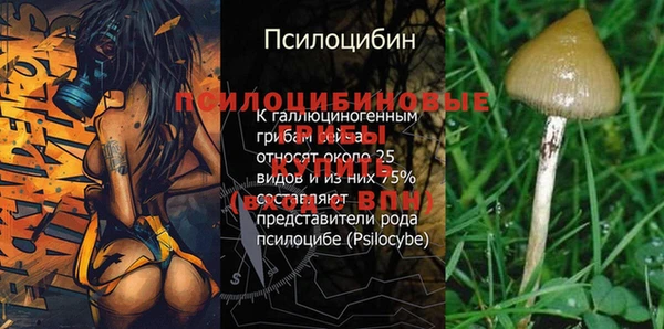 марки lsd Краснослободск