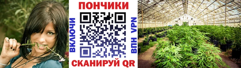 Купить закладки  Видное  Канабис сатива 